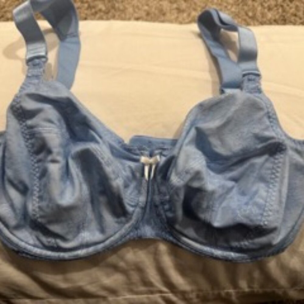 Blue Lace Nursing Bra